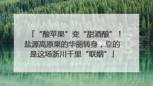 “酸苹果”变“甜酒酿”！盐源高原果的华丽转身，靠的是这场浙川千里“联姻”