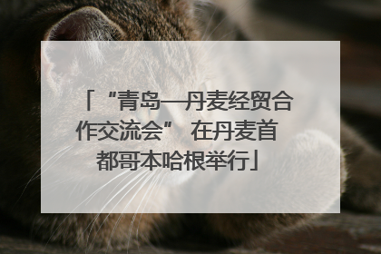 “青岛—丹麦经贸合作交流会” 在丹麦首都哥本哈根举行