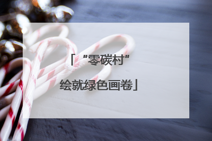 “零碳村” 绘就绿色画卷