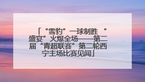 “雪豹”一球制胜 “盛宴”火爆全场——第二届“青超联赛”第二轮西宁主场比赛见闻