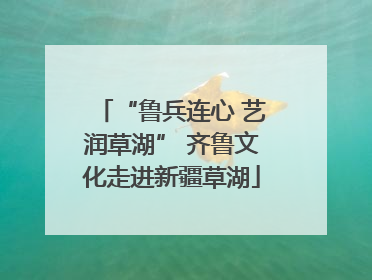 “鲁兵连心 艺润草湖” 齐鲁文化走进新疆草湖