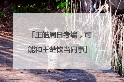 王皓周日考编，可能和王楚钦当同事