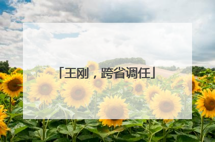 王刚，跨省调任
