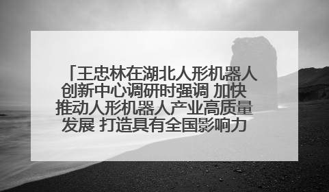 王忠林在湖北人形机器人创新中心调研时强调 加快推动人形机器人产业高质量发展 打造具有全国影响力的研发创新基地