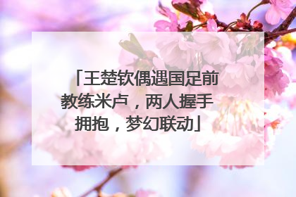 王楚钦偶遇国足前教练米卢，两人握手拥抱，梦幻联动