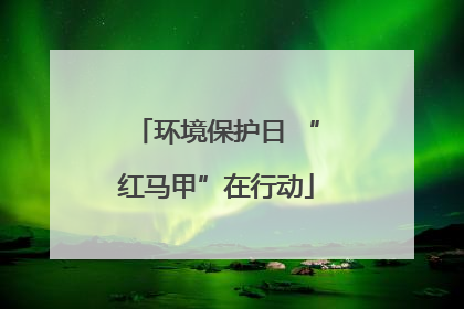 环境保护日 “红马甲”在行动