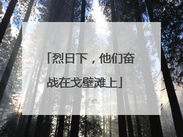 烈日下，他们奋战在戈壁滩上
