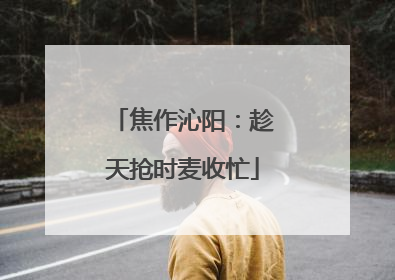 焦作沁阳：趁天抢时麦收忙