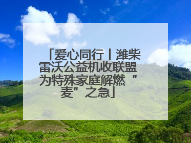 爱心同行丨潍柴雷沃公益机收联盟为特殊家庭解燃“麦”之急