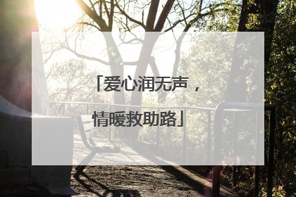 爱心润无声，情暖救助路