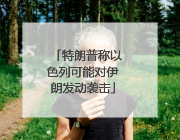 特朗普称以色列可能对伊朗发动袭击