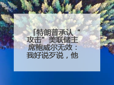 特朗普承认“攻击”美联储主席鲍威尔无效：我好说歹说，他就是不降息