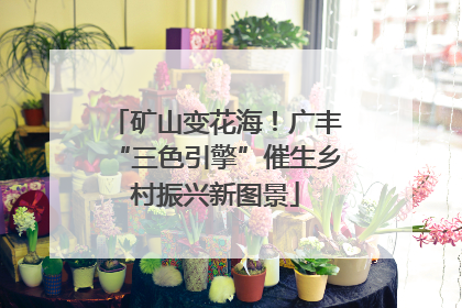 矿山变花海！广丰“三色引擎”催生乡村振兴新图景