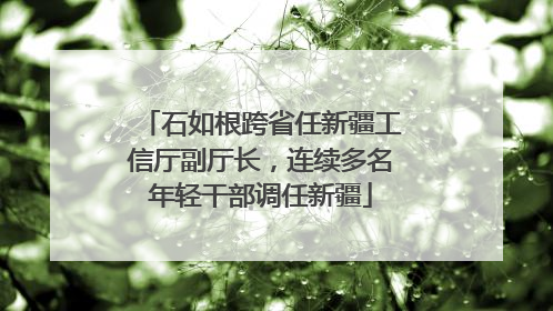 石如根跨省任新疆工信厅副厅长，连续多名年轻干部调任新疆