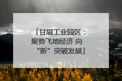 甘眉工业园区：聚势飞地经济 向“新”突破发展