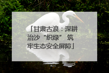 甘肃古浪：深耕治沙“织绿” 筑牢生态安全屏障