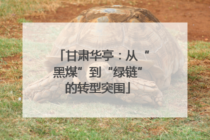 甘肃华亭：从“黑煤”到“绿链”的转型突围