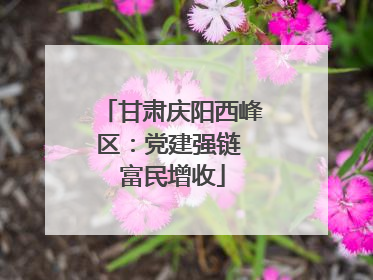 甘肃庆阳西峰区：党建强链 富民增收