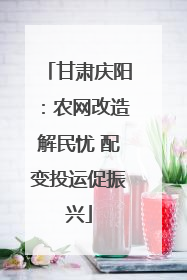 甘肃庆阳：农网改造解民忧 配变投运促振兴