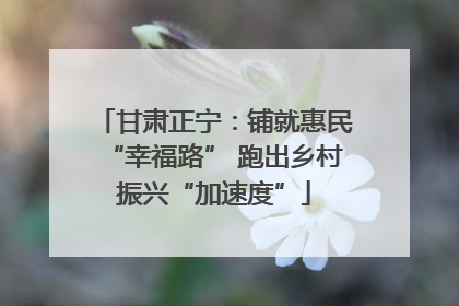 甘肃正宁：铺就惠民“幸福路” 跑出乡村振兴“加速度”