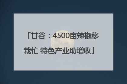 甘谷：4500亩辣椒移栽忙 特色产业助增收