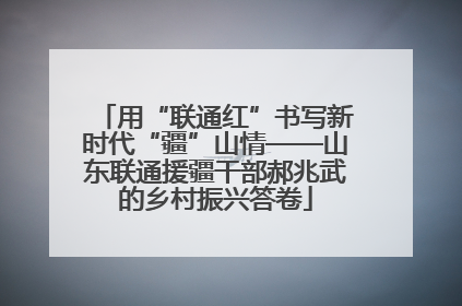 用“联通红”书写新时代“疆”山情——山东联通援疆干部郝兆武的乡村振兴答卷