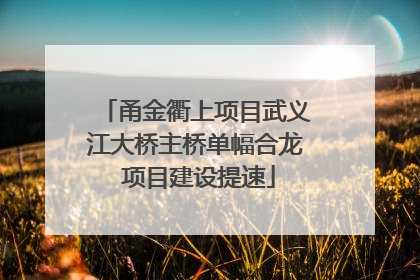 甬金衢上项目武义江大桥主桥单幅合龙 项目建设提速