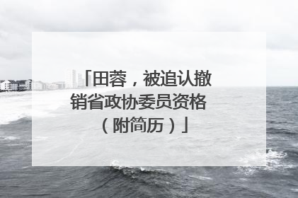 田蓉，被追认撤销省政协委员资格（附简历）