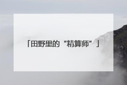 田野里的“精算师”