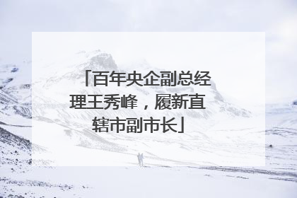 百年央企副总经理王秀峰，履新直辖市副市长