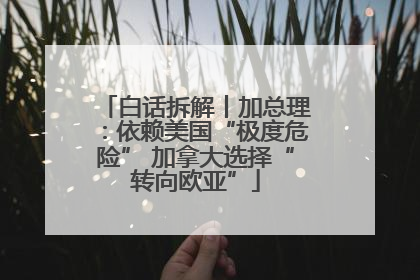白话拆解丨加总理：依赖美国“极度危险” 加拿大选择“转向欧亚”