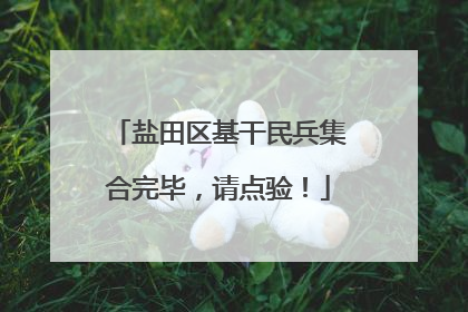 盐田区基干民兵集合完毕，请点验！