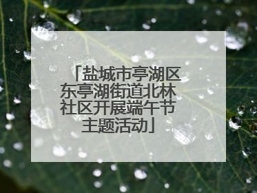 盐城市亭湖区东亭湖街道北林社区开展端午节主题活动