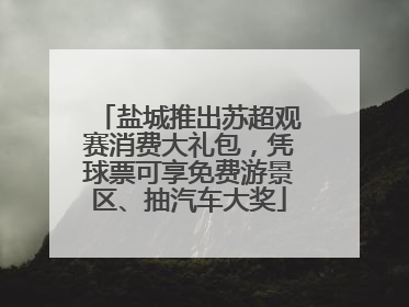 盐城推出苏超观赛消费大礼包，凭球票可享免费游景区、抽汽车大奖