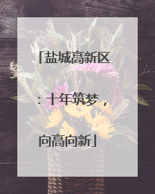 盐城高新区：十年筑梦，向高向新