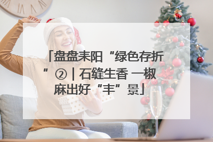 盘盘耒阳“绿色存折”②｜石缝生香 一椒麻出好“丰”景