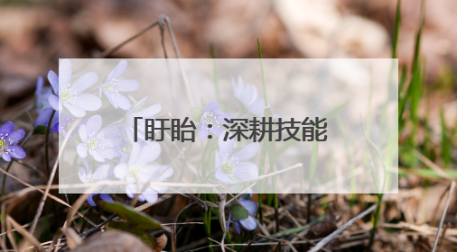 盱眙：深耕技能培训，赋能就业增收产业发展
