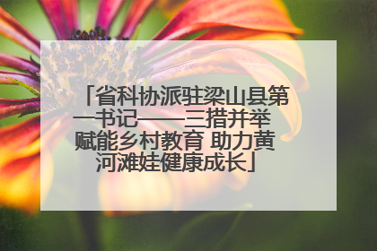 省科协派驻梁山县第一书记——三措并举 赋能乡村教育 助力黄河滩娃健康成长