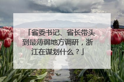 省委书记、省长带头到最薄弱地方调研，浙江在谋划什么？