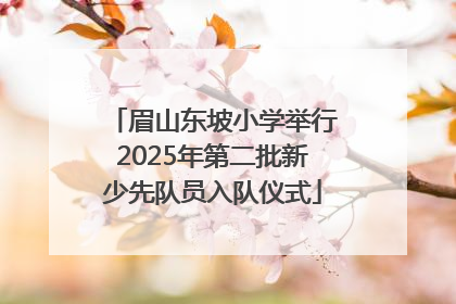 眉山东坡小学举行2025年第二批新少先队员入队仪式