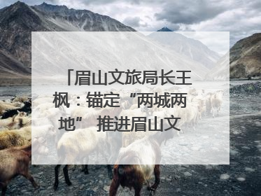 眉山文旅局长王枫：锚定“两城两地” 推进眉山文旅融合高质量发展｜文旅局长说
