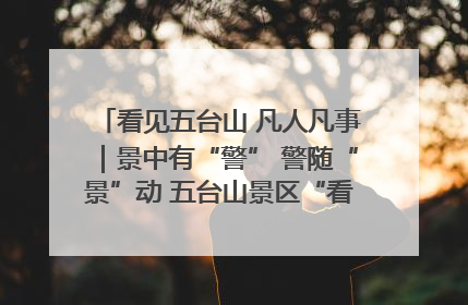 看见五台山 凡人凡事｜景中有“警” 警随“景”动 五台山景区“看得见”的平安守护