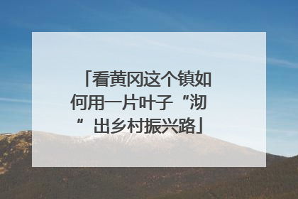 看黄冈这个镇如何用一片叶子“沏”出乡村振兴路