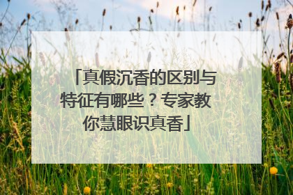 真假沉香的区别与特征有哪些？专家教你慧眼识真香