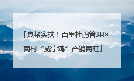 真帮实扶！百里杜鹃管理区两村“威宁鸡”产销两旺