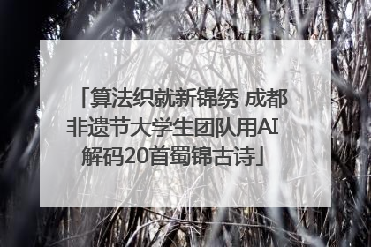 算法织就新锦绣 成都非遗节大学生团队用AI解码20首蜀锦古诗