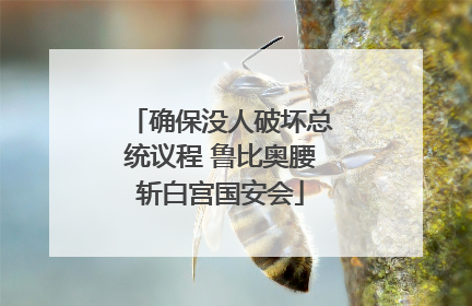 确保没人破坏总统议程 鲁比奥腰斩白宫国安会