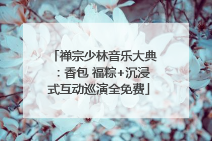 禅宗少林音乐大典：香包 福粽+沉浸式互动巡演全免费