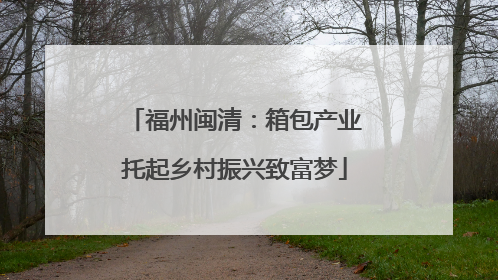 福州闽清：箱包产业托起乡村振兴致富梦