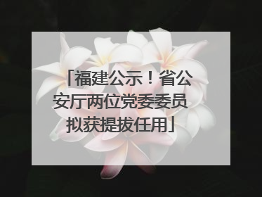 福建公示！省公安厅两位党委委员拟获提拔任用